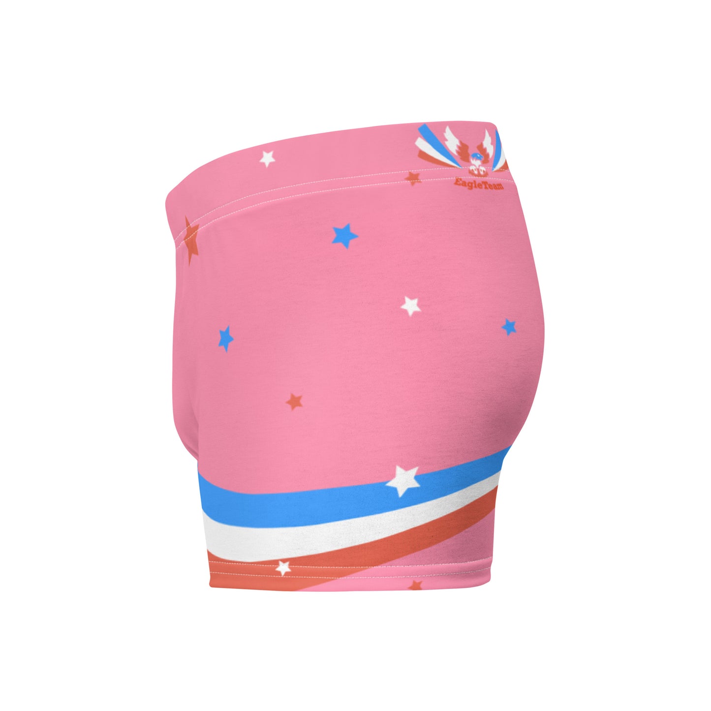 ET80 Pink/Blue Stripe Boxer Briefs