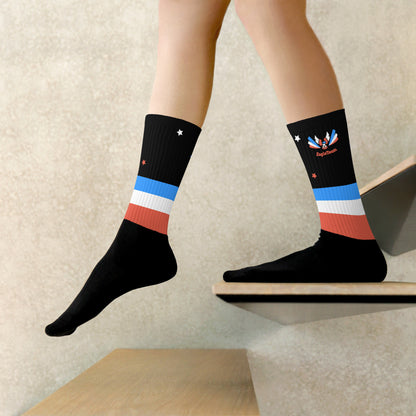 ET80 Black/Blue Stripe Socks