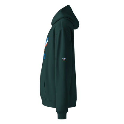 Eagle Team 1980 Unisex oversized hoodie